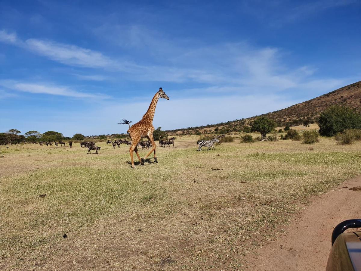 Mtowabaga Africa Safari Lake Natron מראה חיצוני תמונה