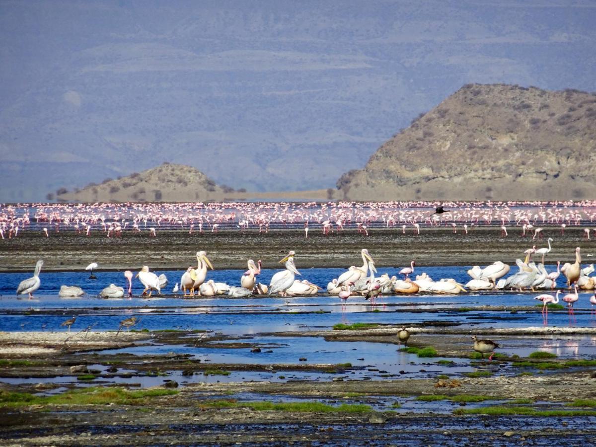 Mtowabaga Africa Safari Lake Natron מראה חיצוני תמונה